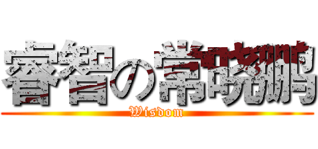 睿智の常晓鹏 (Wisdom)