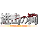 进击の狗 (attack on dog)