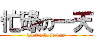 忙碌の一天 (what a busy day)