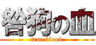 咎狗の血 (true blood)