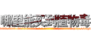 哪里能买到植物毒 (哪里能买到植物毒【电-186x2687x6963-Q278180069元-吉-药-业】我们做的是长期生意,靠的是老客户长期支持 http://sngk.net/MoScU9
)