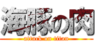 海豚の肉 (attack on titan)