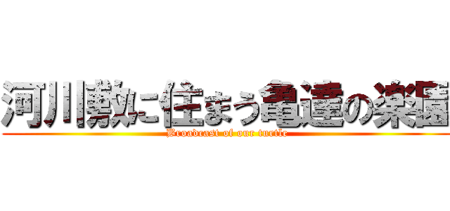 河川敷に住まう亀達の楽園 (Broadcast of our turtle)