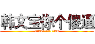韩文宝你个傻逼 (attack on titan)