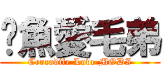 鱷魚愛毛弟 (Crocodile Love MODI)