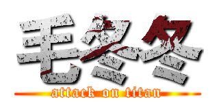 毛冬冬 (attack on titan)