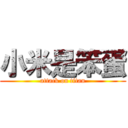 小米是笨蛋 (attack on titan)