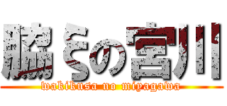 脇ξの宮川 (wakikusa no miyagawa)