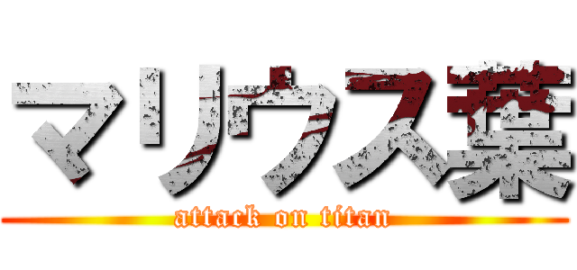 マリウス葉 (attack on titan)