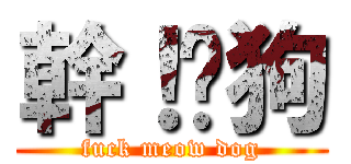 幹！喵狗 (fuck meow dog)