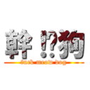 幹！喵狗 (fuck meow dog)