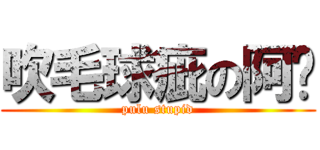 吹毛球疵の阿憨 (pulu stupid)