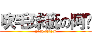 吹毛球疵の阿憨 (pulu stupid)