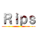 Ｒｉｐｓ ()