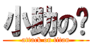 小助の莹 (attack on titan)