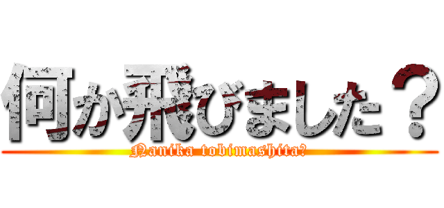 何か飛びました？ (Nanika tobimashita?)