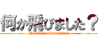 何か飛びました？ (Nanika tobimashita?)