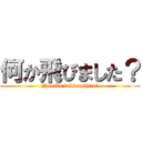 何か飛びました？ (Nanika tobimashita?)