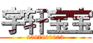 宇轩宝宝 (2587860903)