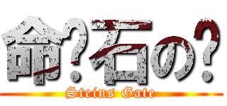 命运石の门 (Steins Gate)
