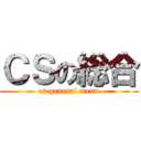 ＣＳの総合 (cs general menu)