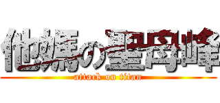 他媽の聖母峰 (attack on titan)