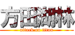 方田湖林 (attack on titan)