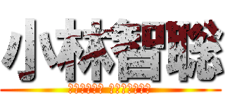 小林智聡 (いつやるか？ いまでしょ！！)