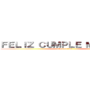 ＦＥＬＩＺ ＣＵＭＰＬＥ ＭＡＮＵＥＬ (attack on titan)