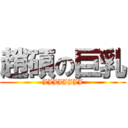 趙碩の巨乳 (JJJJJJJJ)