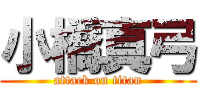 小橋真弓 (attack on titan)