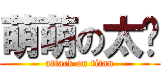 萌萌の太嘎 (attack on titan)