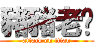 豬豬老爸 (attack on titan)