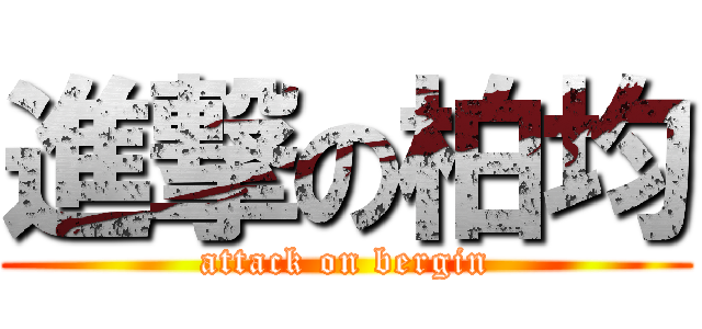 進撃の柏均 (attack on bergin)