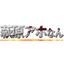 萩原アホなん (ahosugirute)