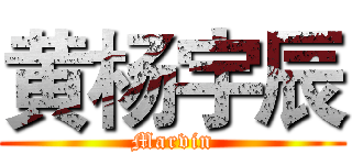黄杨宇辰 (Marvin)