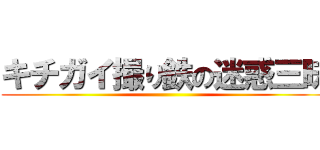 キチガイ撮り鉄の迷惑三昧 ()