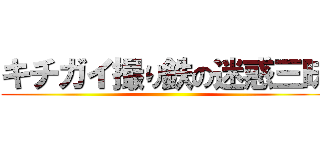 キチガイ撮り鉄の迷惑三昧 ()