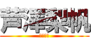 芦澤梨帆 (芦澤梨帆)