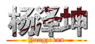 杨泽坤 (Yangzekun)