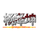 杨泽坤 (Yangzekun)