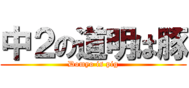 中２の道明は豚 (Domyo is pig)