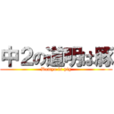 中２の道明は豚 (Domyo is pig)