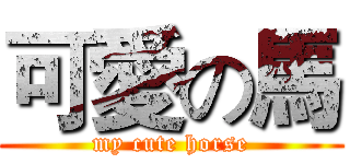 可愛の馬 (my cute horse)