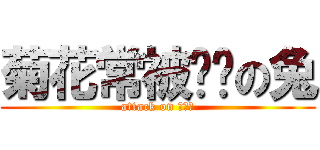 菊花常被噼啪の兔 (attack on 啪啪啪)
