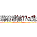 菊花常被噼啪の兔 (attack on 啪啪啪)