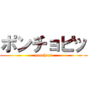 ポンチョピッ (ponchopi)