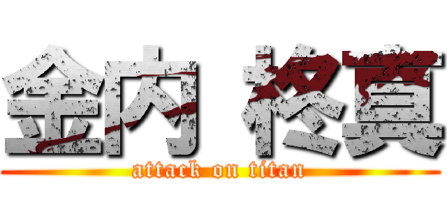 金内 柊真 (attack on titan)