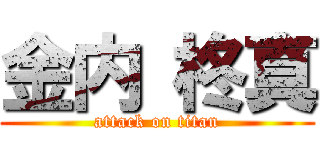 金内 柊真 (attack on titan)