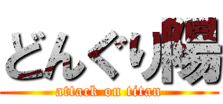 どんぐり陽 (attack on titan)